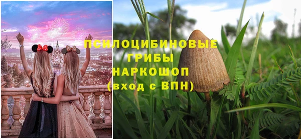 круглые Алзамай