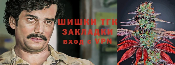 PSILOCYBIN Абдулино
