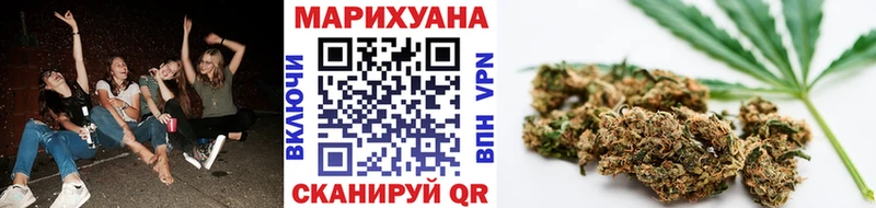 Конопля индика Дубовка
